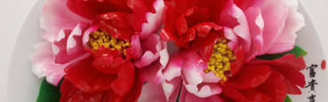 水月牡丹，洛陽(yáng)水月牡丹技術(shù)開(kāi)發(fā)有限公司